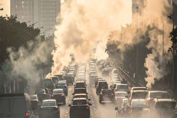 The Art of Baking: From Classic Bread to Artisan Pastries